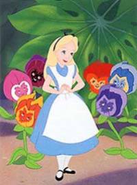 Bulle au pays des cauchemars